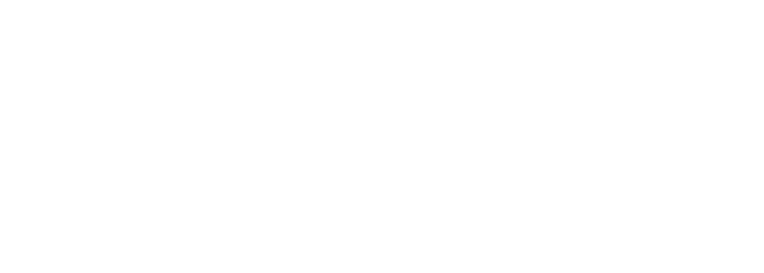 NAICOM Logo